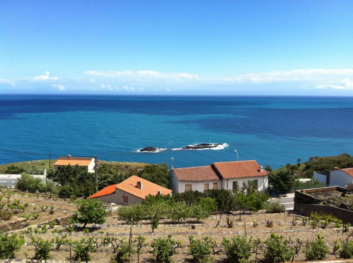 Appartement Vue Mer El Farniente Cerbère Dış mekan fotoğraf